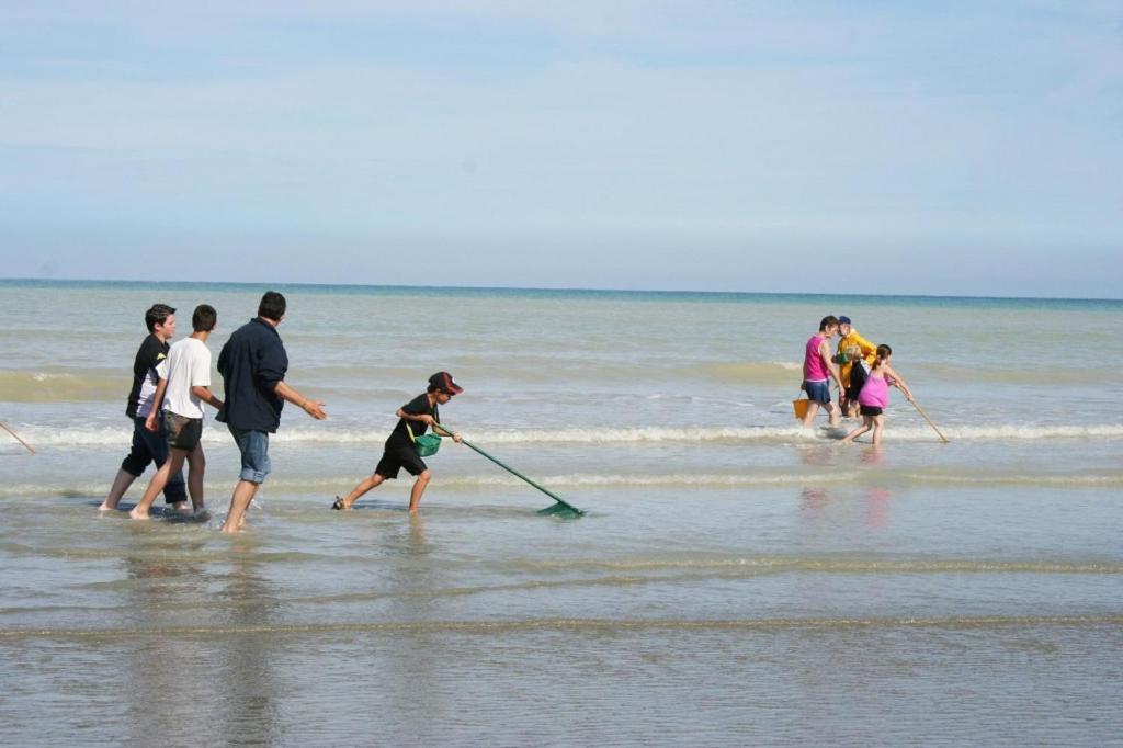 "Le Juguili" 46M2 En Front De Mer - 4 Personnes - Animaux Ok - Entierement Renove - Haut De Gamme - Wifi Мер-ле-Бен Экстерьер фото