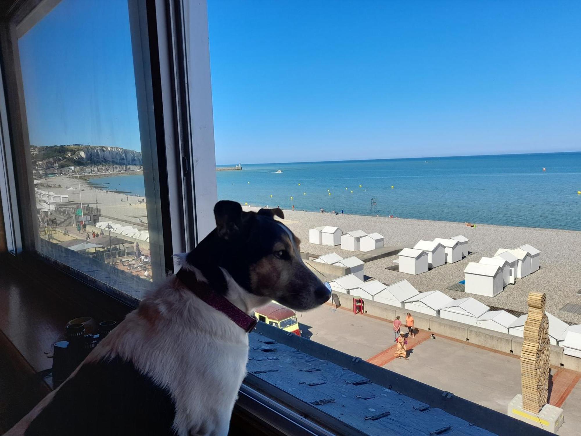 "Le Juguili" 46M2 En Front De Mer - 4 Personnes - Animaux Ok - Entierement Renove - Haut De Gamme - Wifi Мер-ле-Бен Экстерьер фото